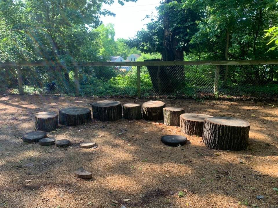 Tree stumps arranged in a circle on a dirt ground