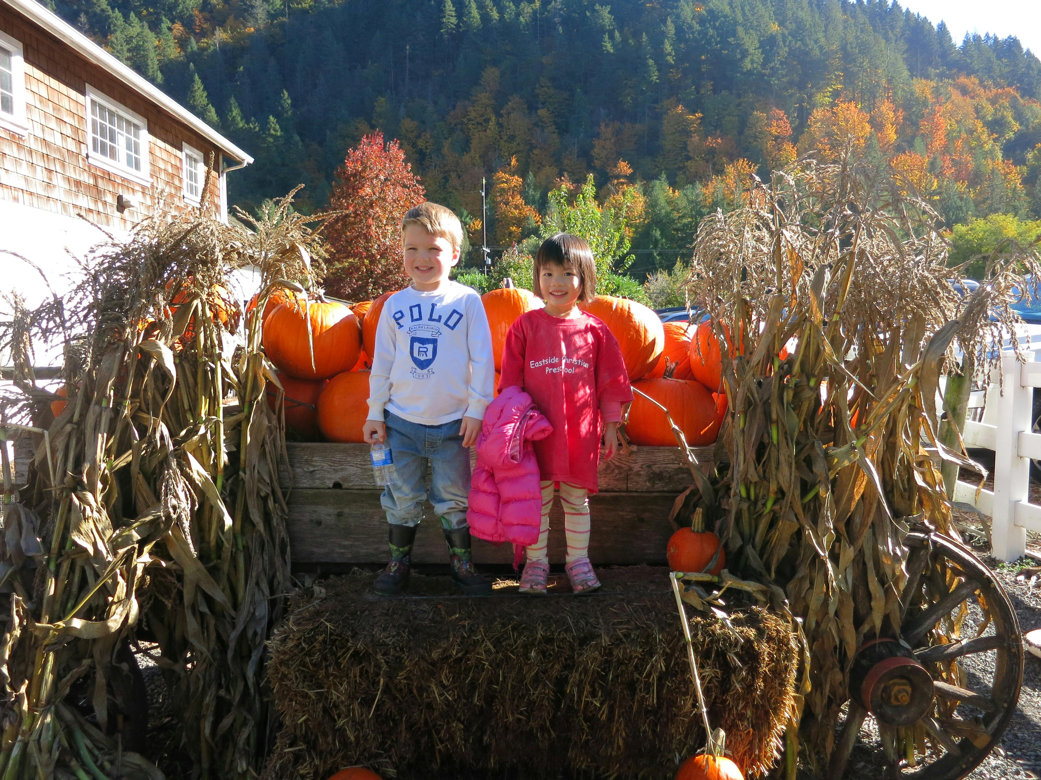 Two children standing on hay bales with pumpkins and corn stalks