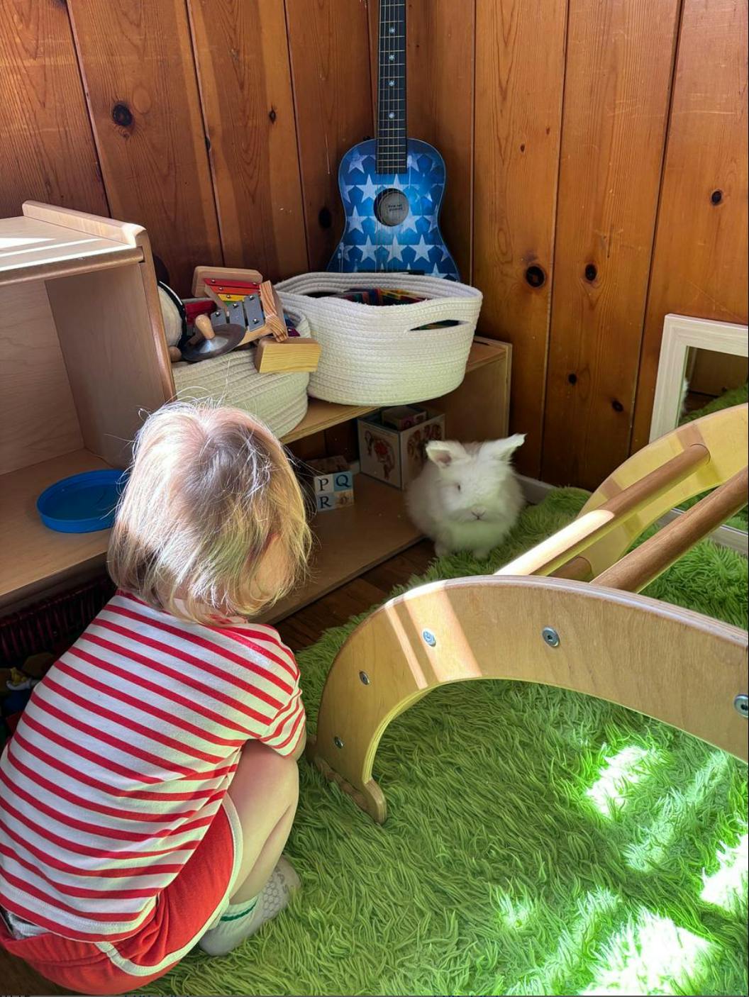 Child in striped shirt looking at a white rabbit on a green rug