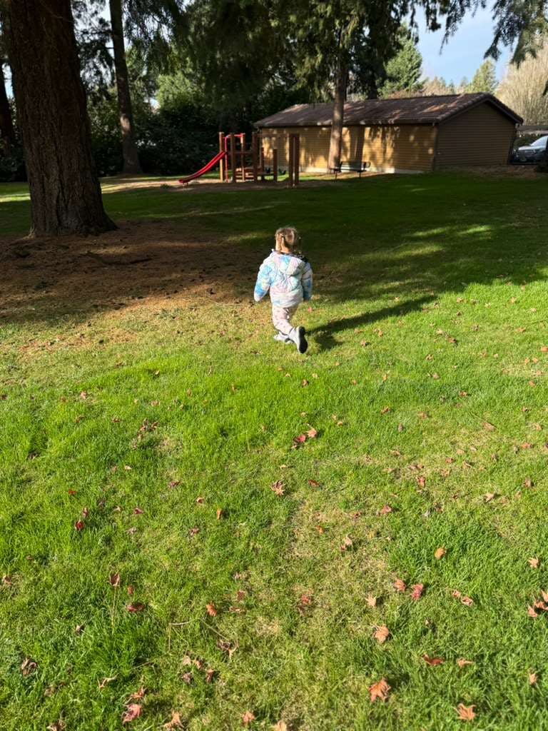 Child walking across a grassy field towards a playground