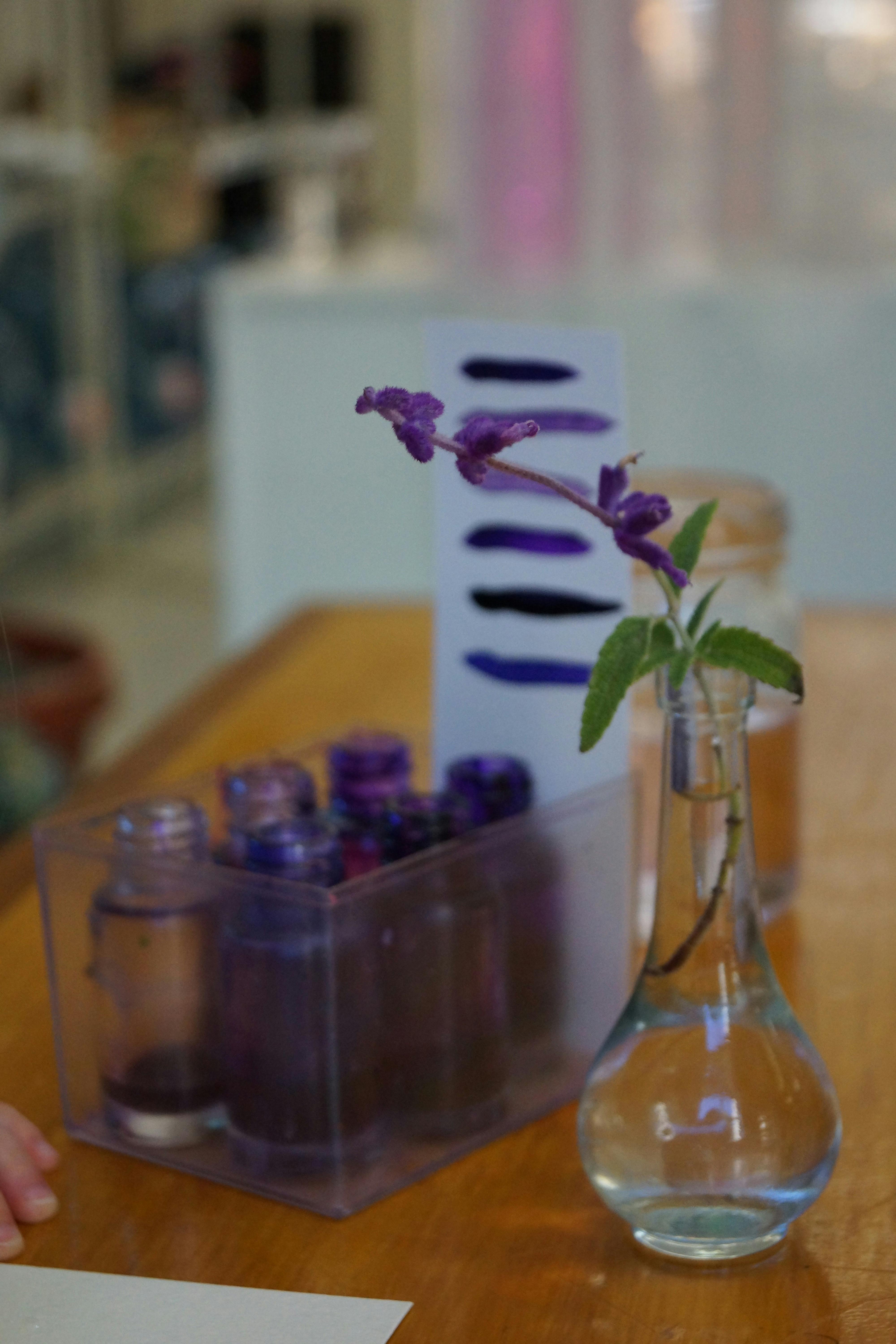 Purple flower in a clear vase on a wooden table