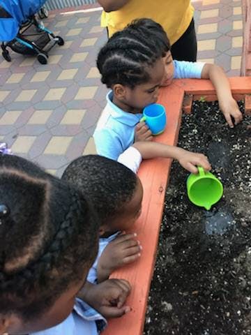 Children watering plants in a garden bed