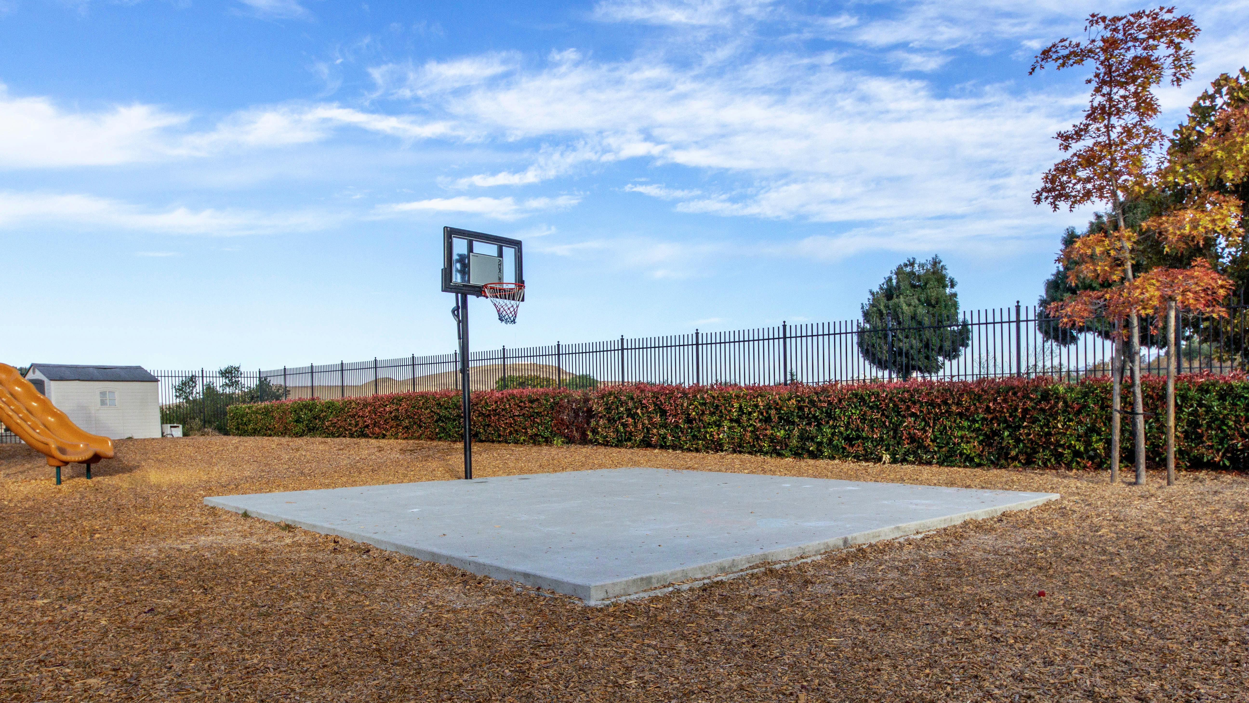Outdoor basketball court with a hoop and a small shed