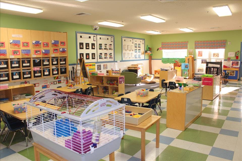 An empty classroom with tables, chairs, bookshelves, and a hamster cage