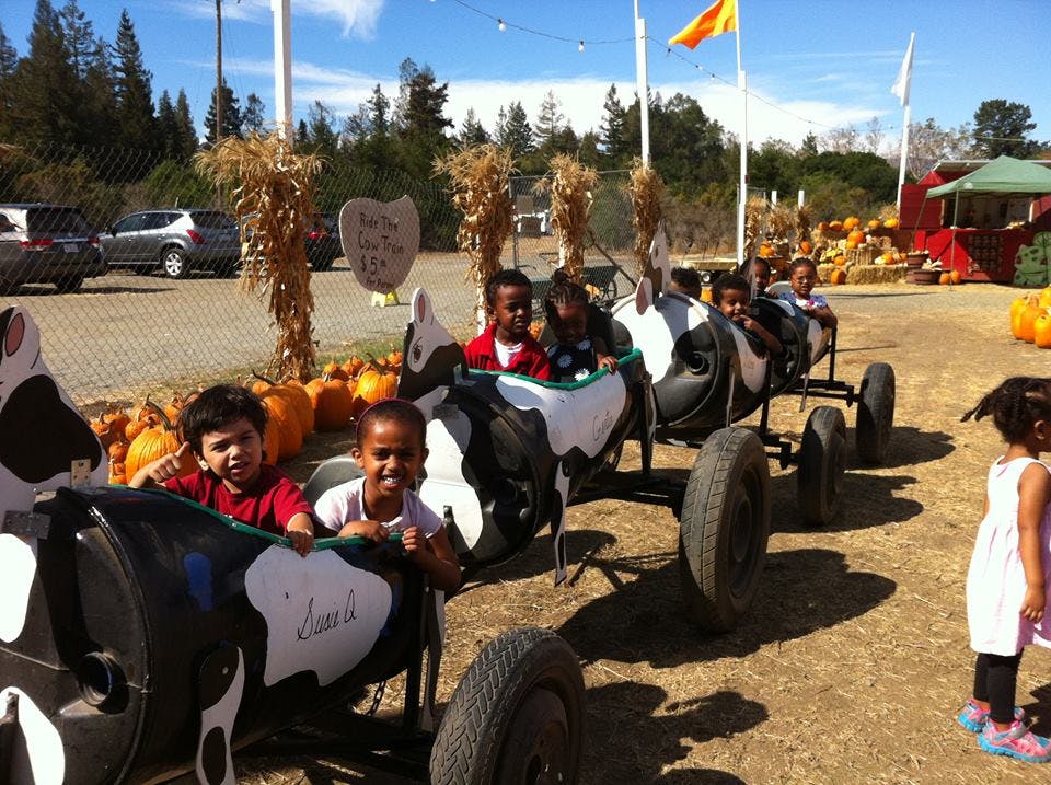 Children riding in cow-shaped carts