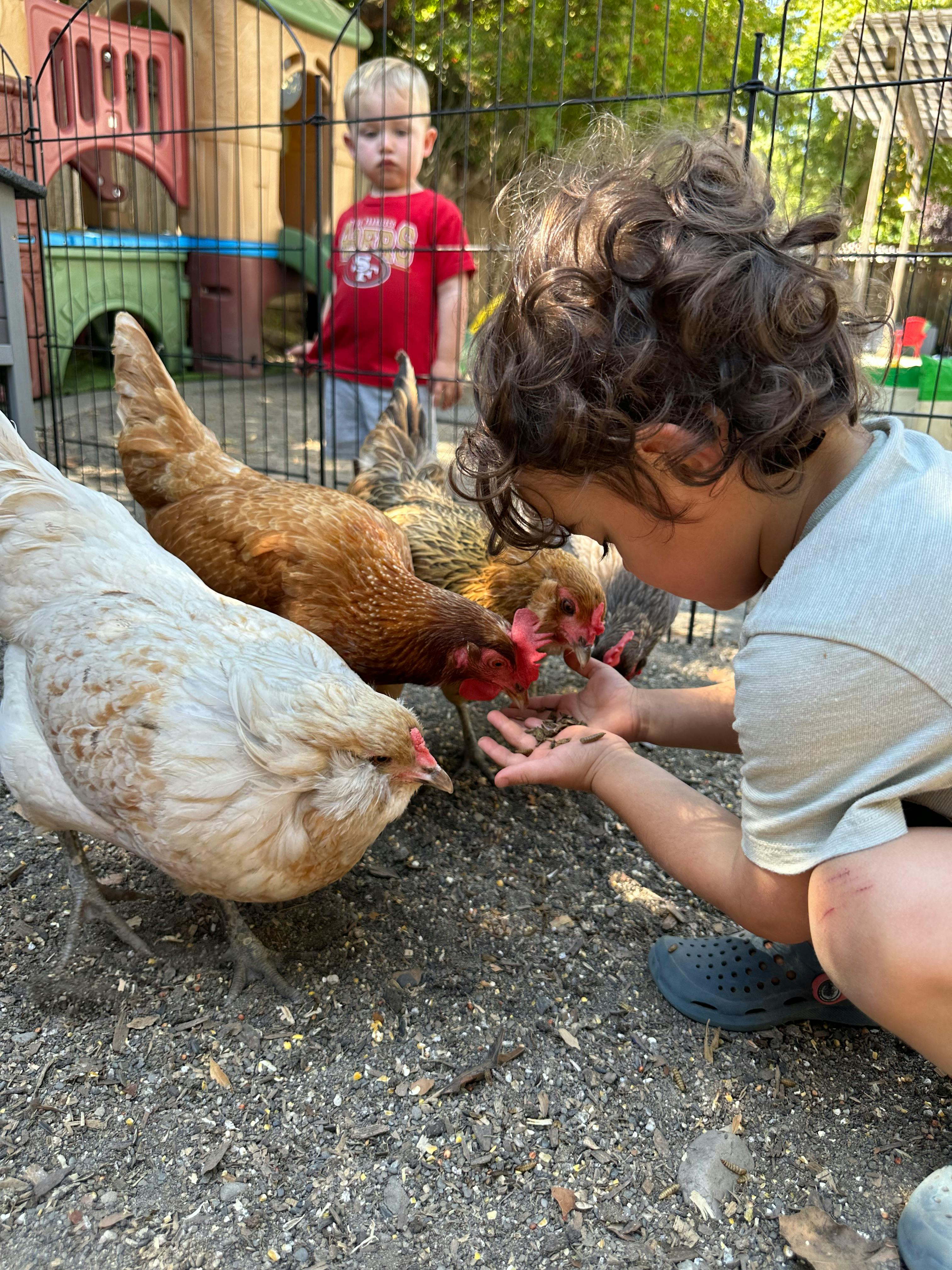 Galvan Family Child Care in Petaluma, CA