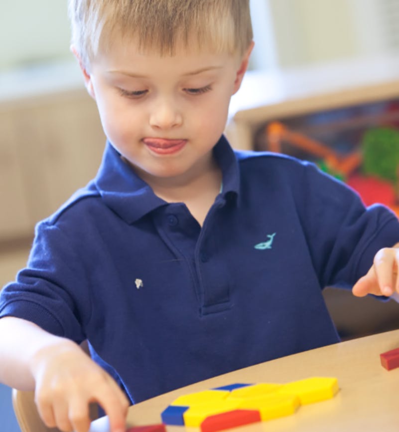 Bright Horizons Children's Ctr's At Shepherd's Vineyard Dr. Daycare