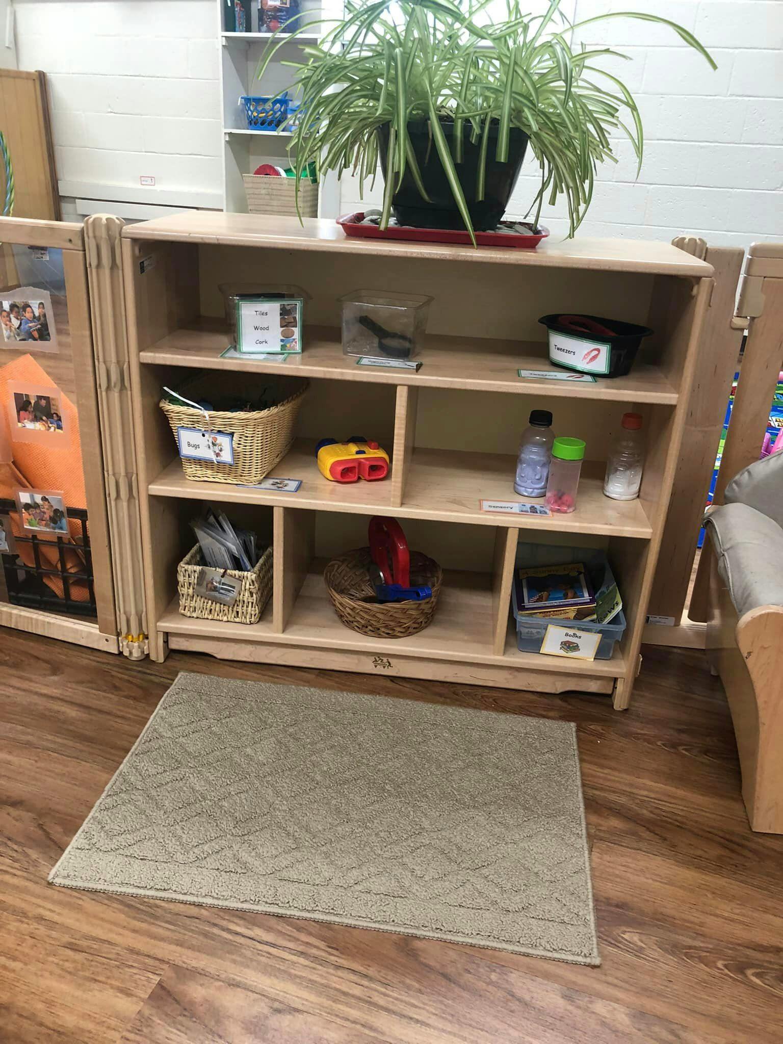 Wooden shelving unit with various items and a potted plant on top