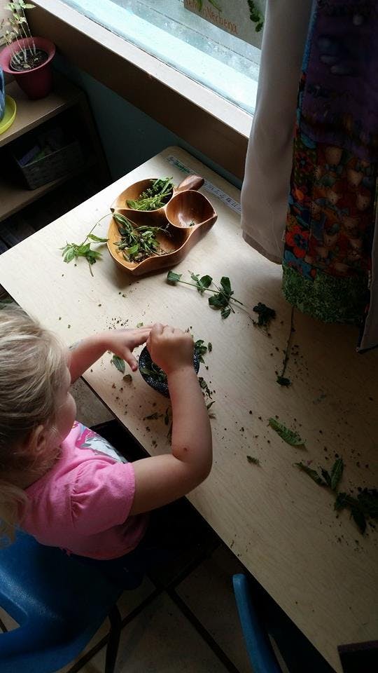 Child crushing leaves in a mortar and pestle on a table