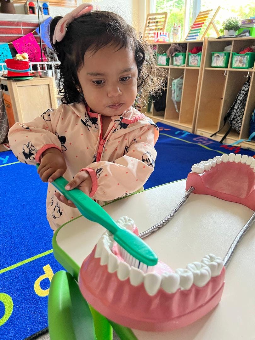 Child brushing a large model of teeth with a toothbrush