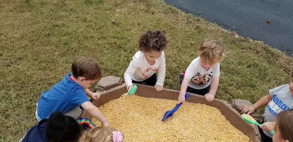 Children playing in a sandbox filled with corn kernels