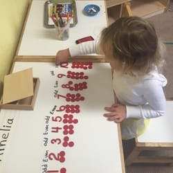 Le Petit Z Bilingual Preschool Preschool in Alameda, CA Winnie