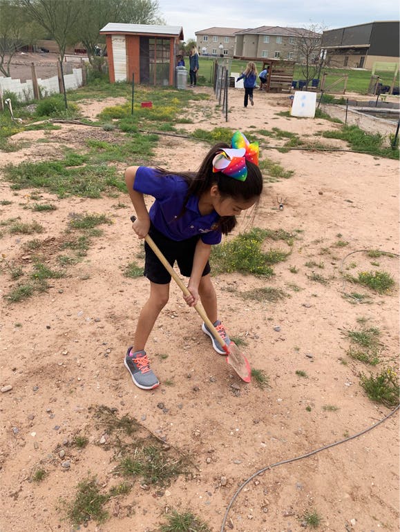 Child digging in dirt with a shovel