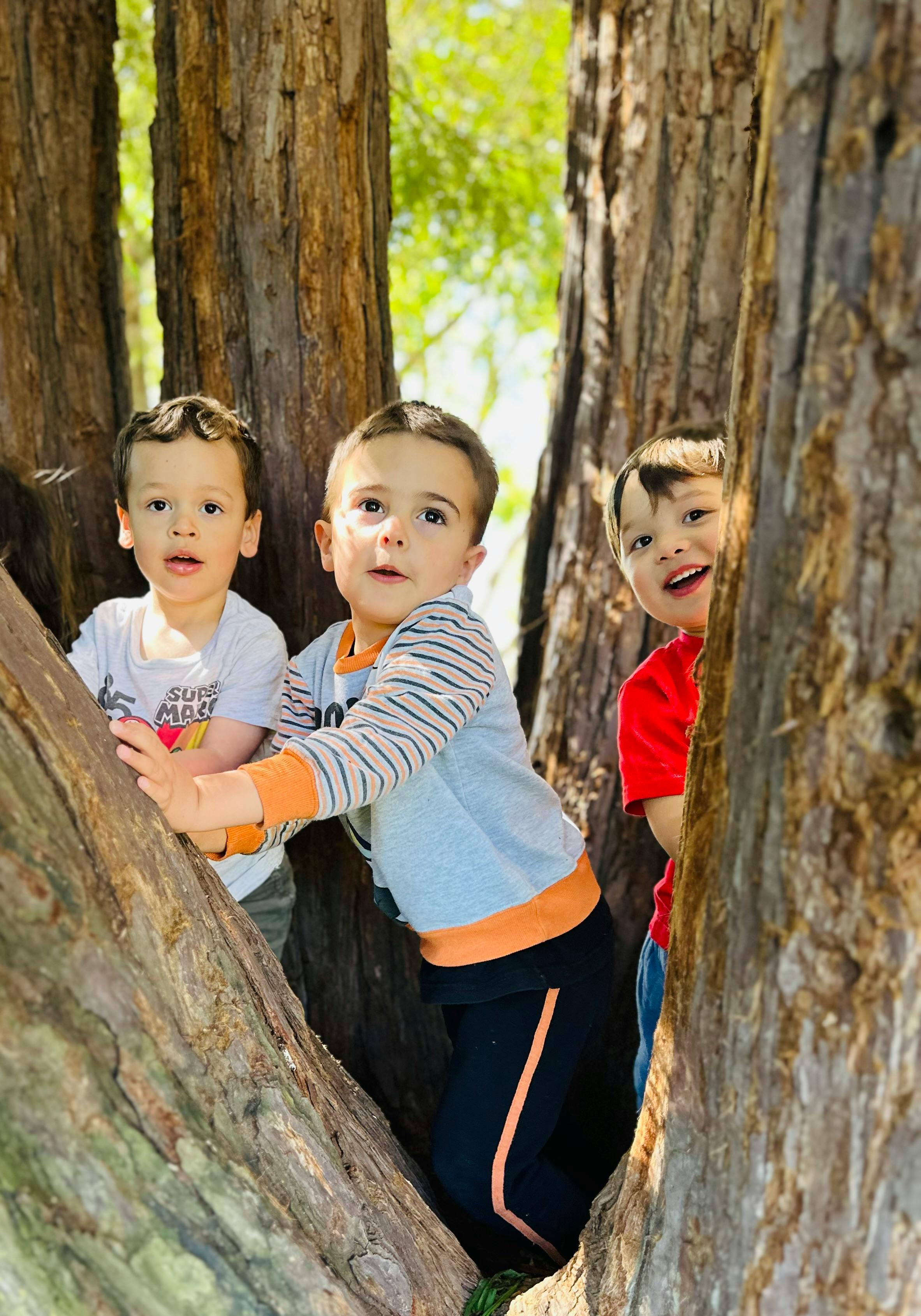 Three children peeking from behind tree trunks