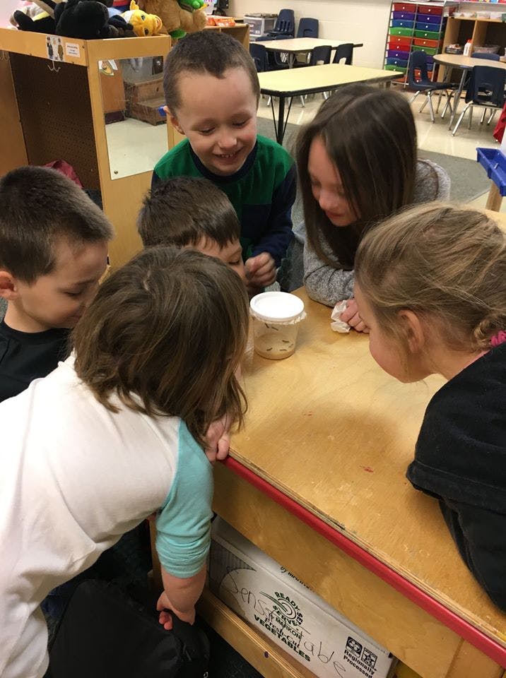 Five children gathered around a jar on a table