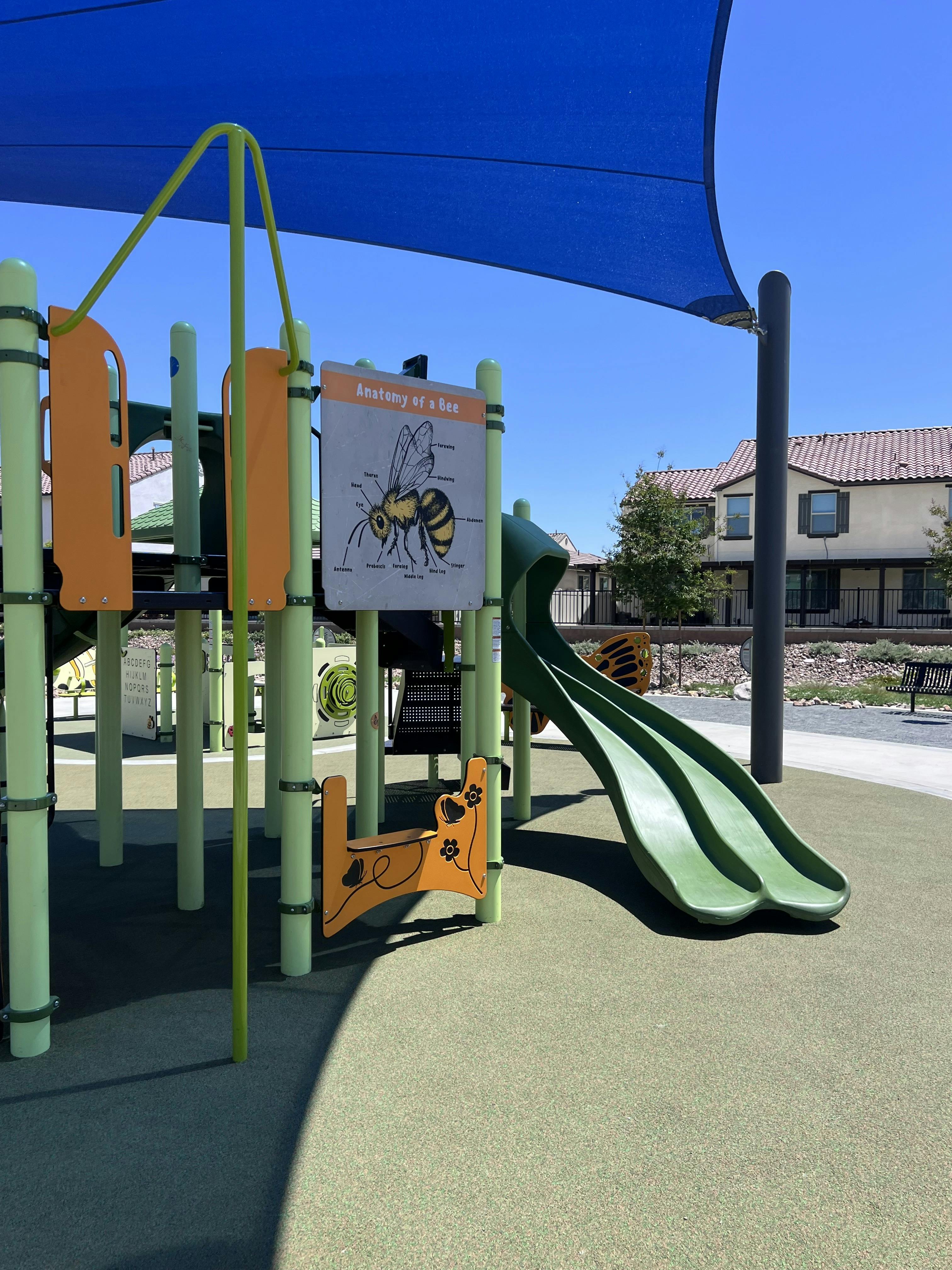 Playground with green slide and 'Anatomy of a Bee' sign
