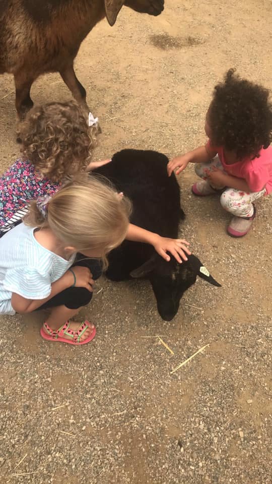 Three children petting a black goat on the ground