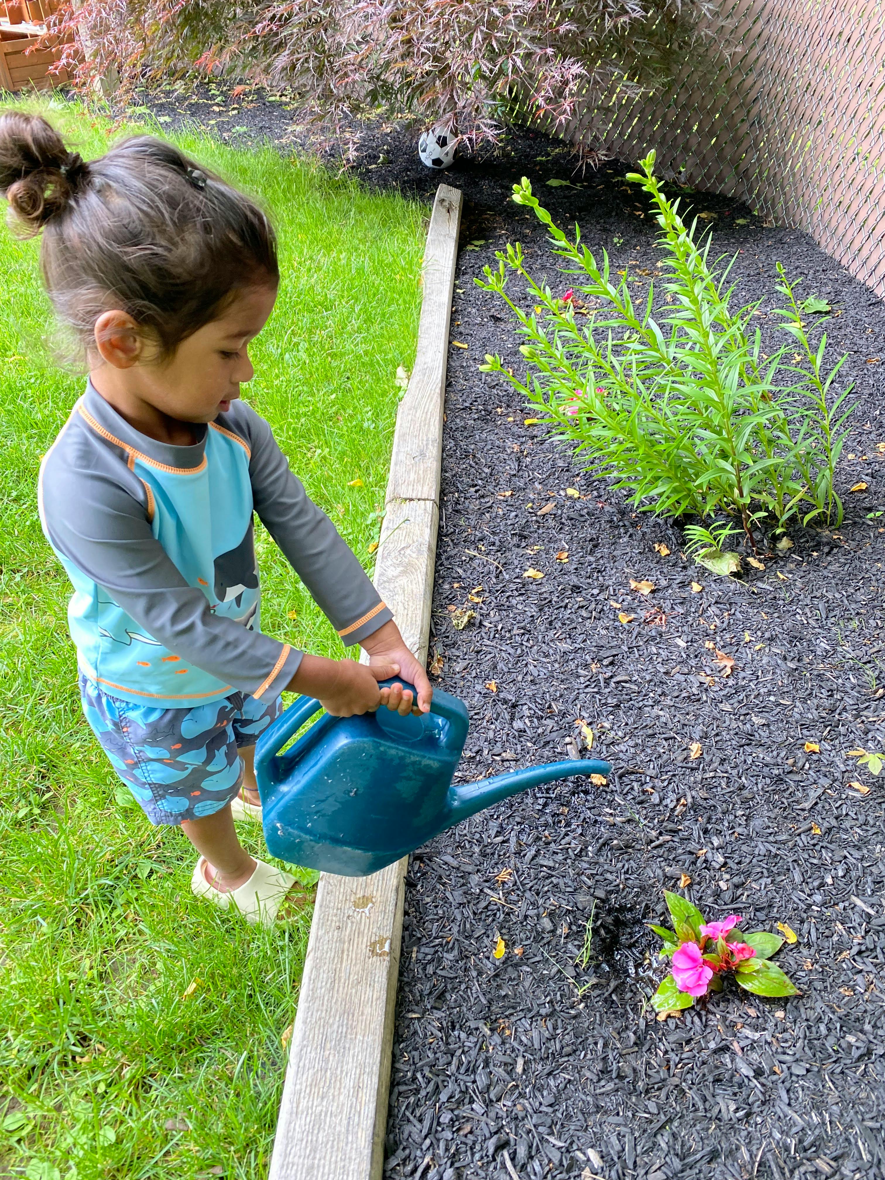 Child watering a plant with a blue watering can