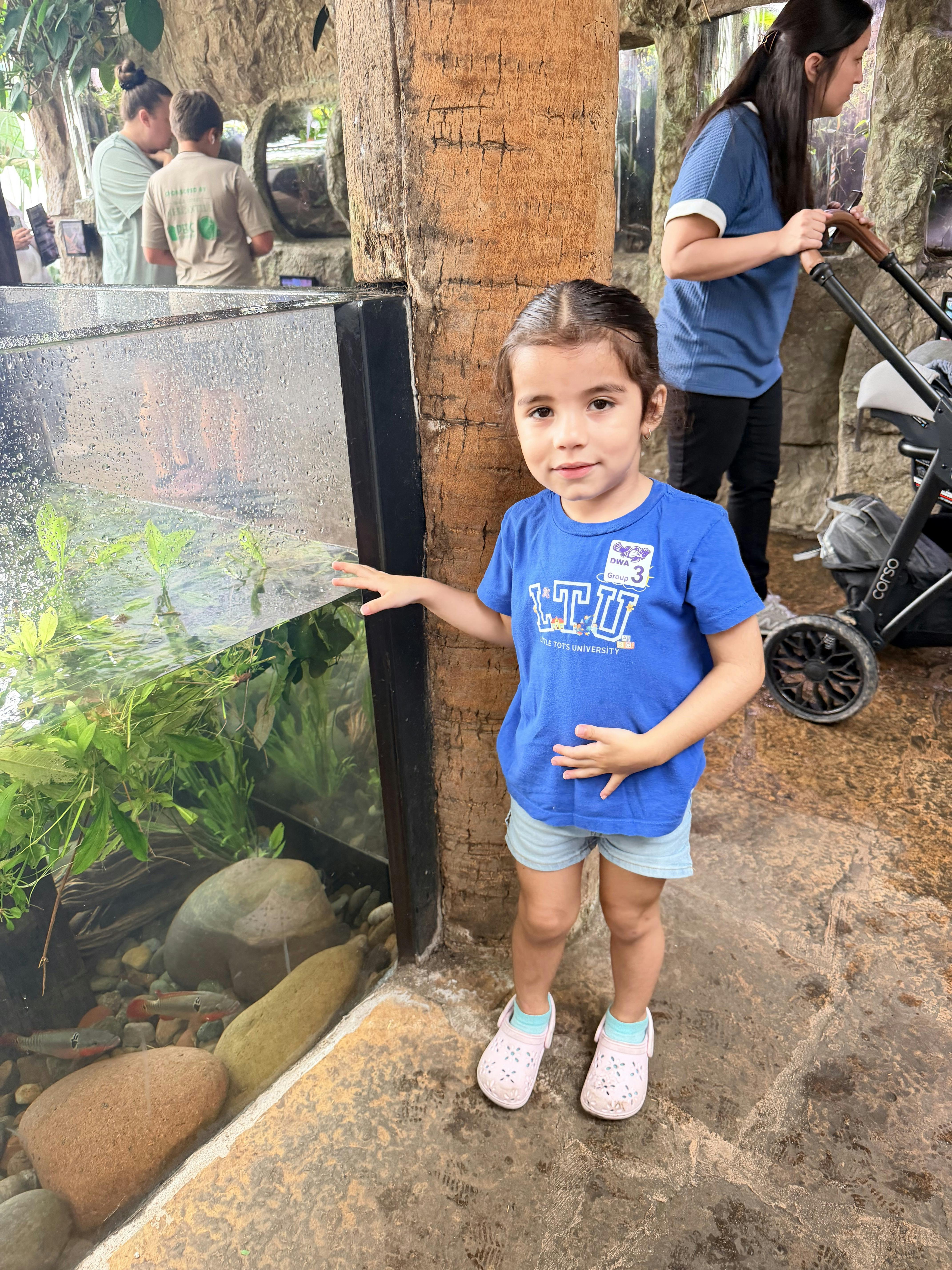 Child standing by a large aquarium tank