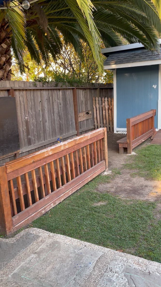 Wooden fence and blue shed with palm tree overhead