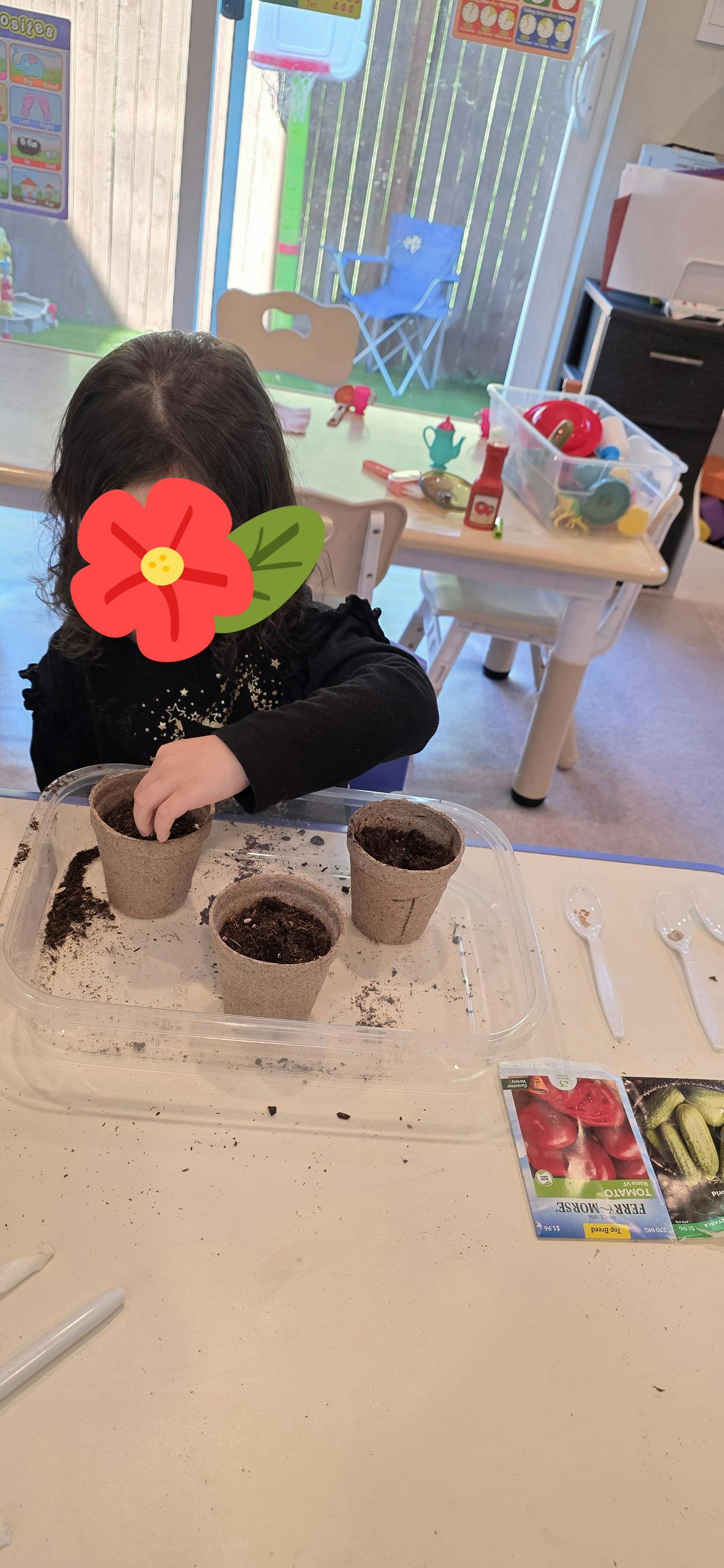 Child planting seeds in small paper pots on a table