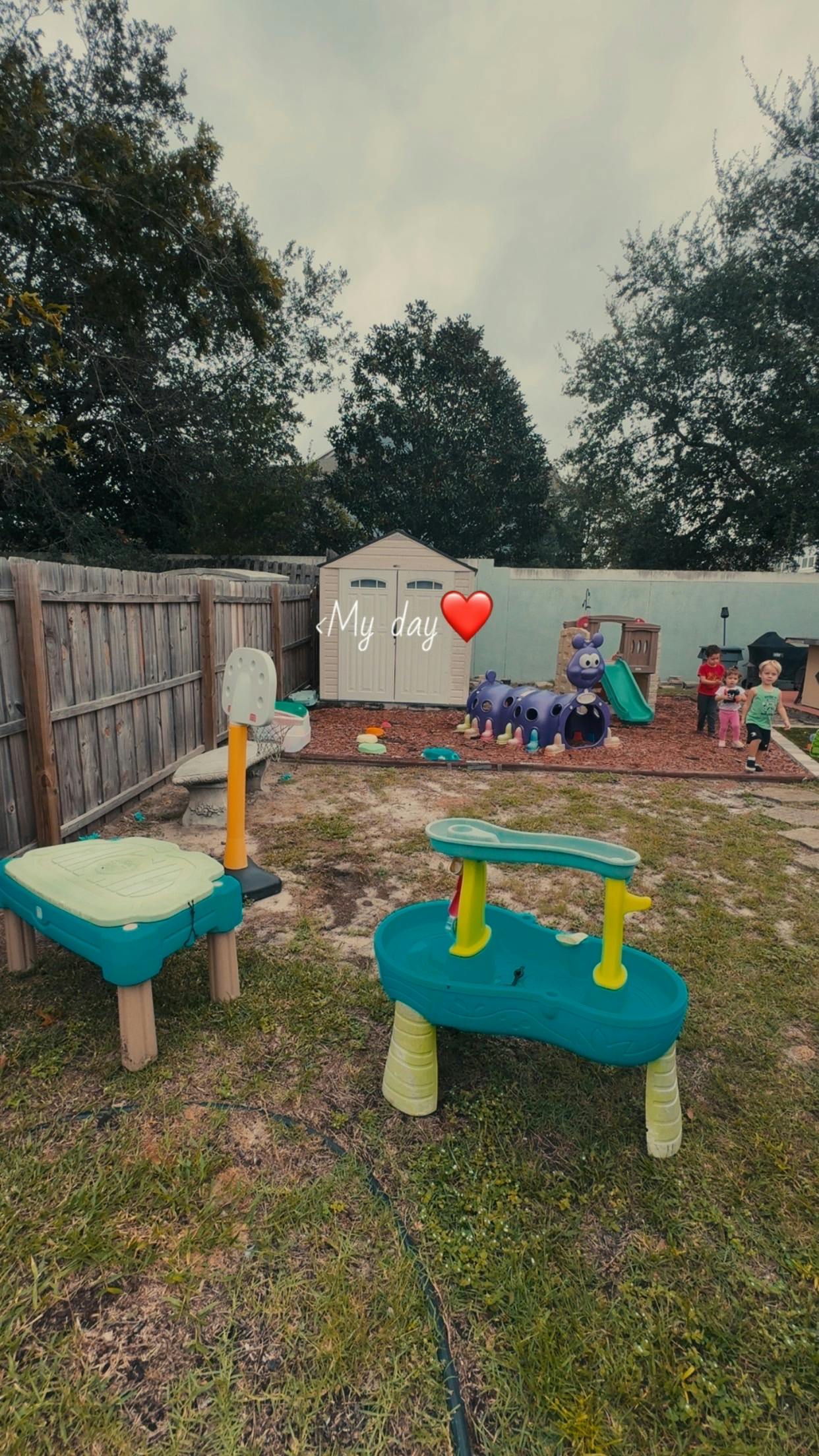 Children playing in a backyard with playground equipment