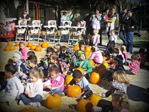 Children sitting on the ground with pumpkins, adults standing in background