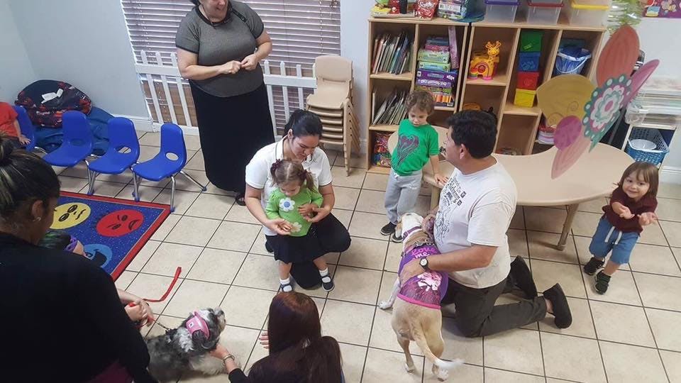 People and children interacting with dogs in a room