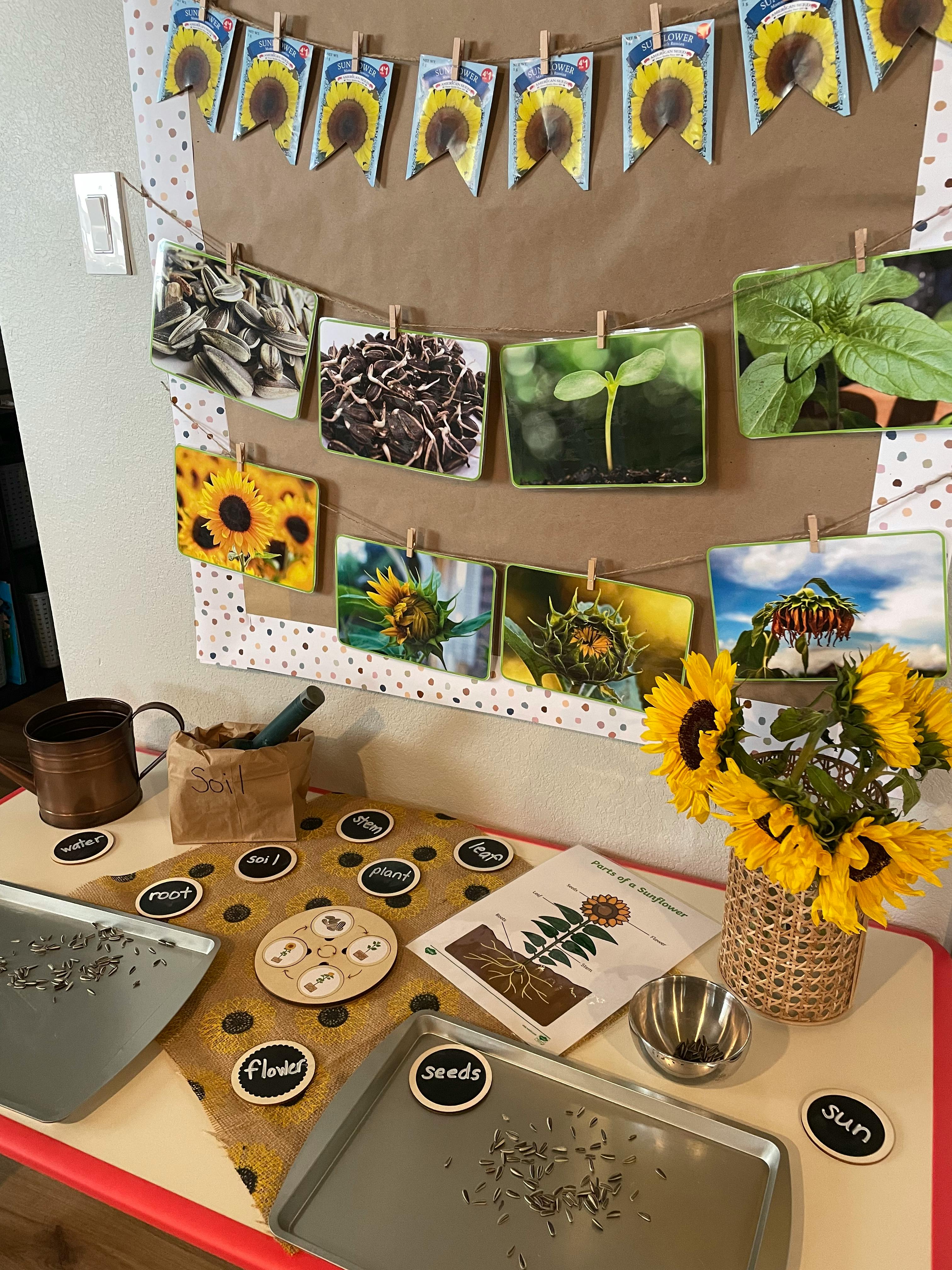 Play 2 Learn Preschool School in Erie, CO