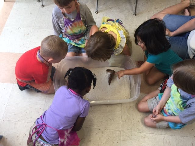 Children gathered around a container with water and objects