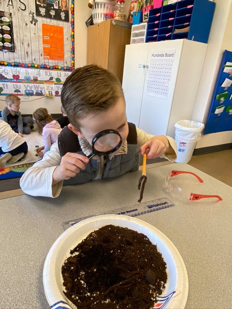Child looking through a magnifying glass at a worm
