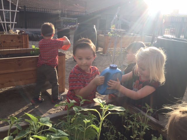 Children watering plants in a garden