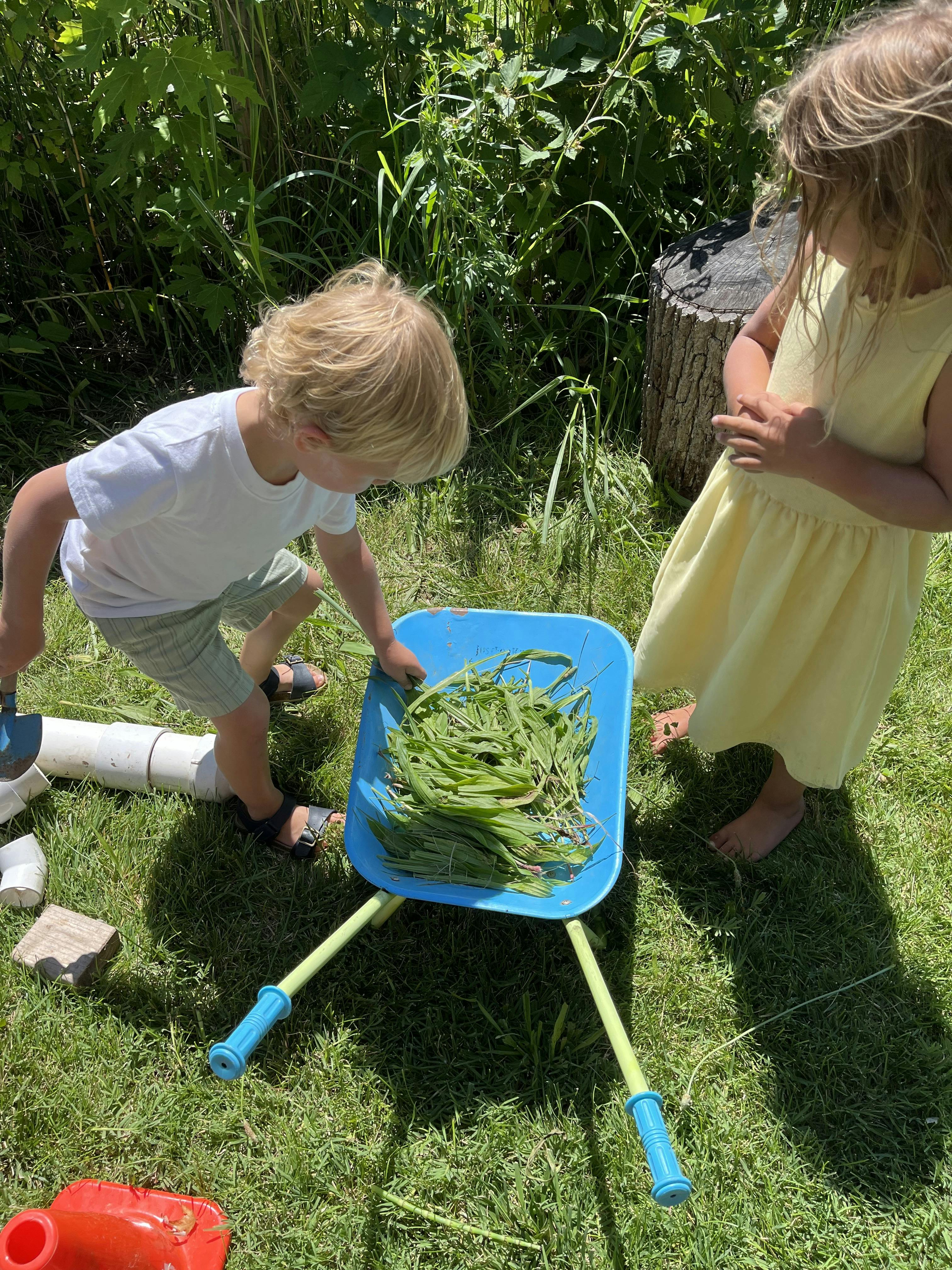 Two children playing with a small toy wheelbarrow filled with grass