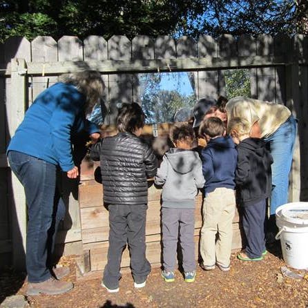 Adults and children looking into a wooden structure