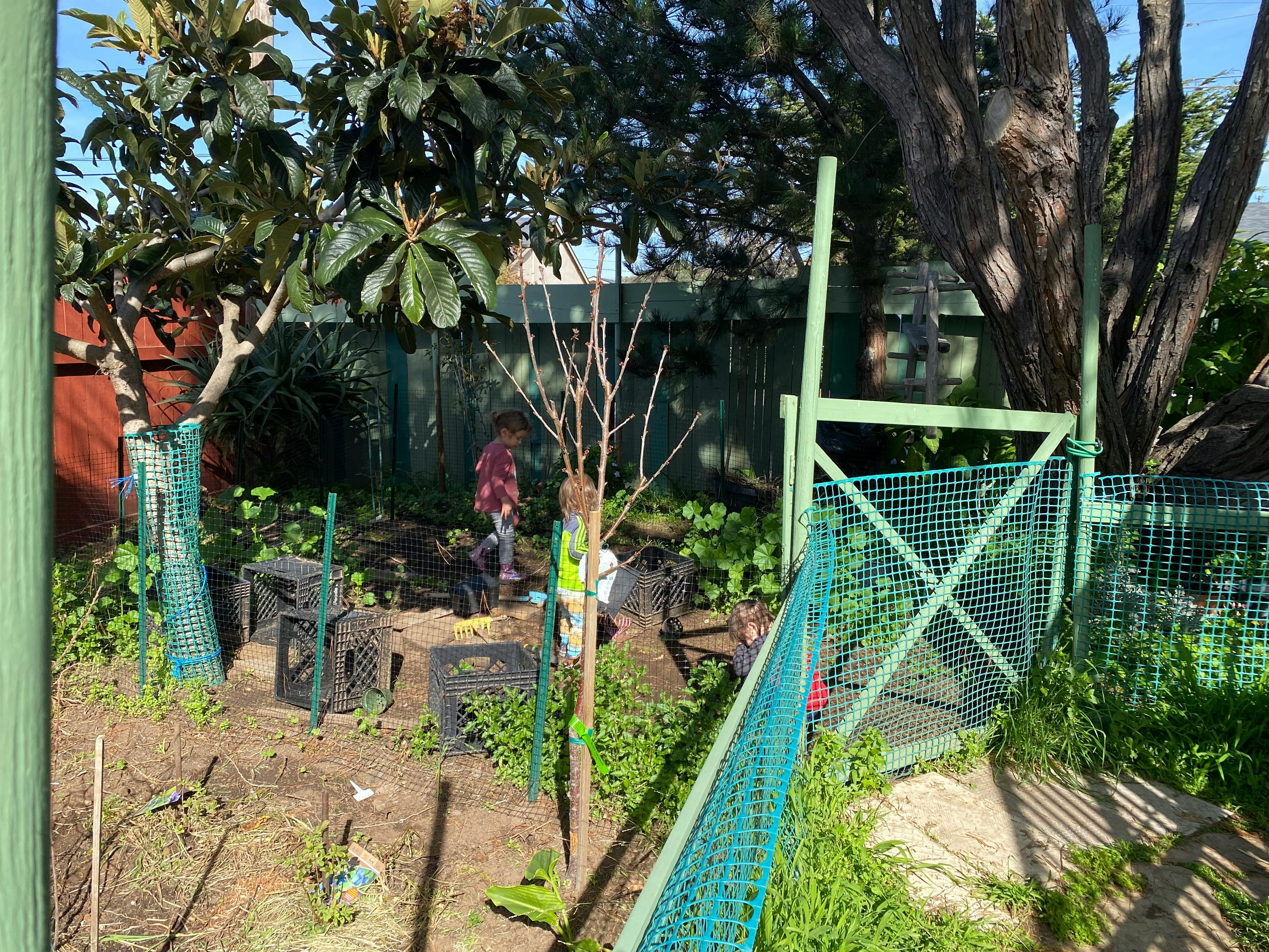 Person working in a garden with a green fence