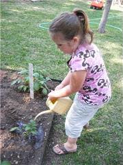 Child watering a plant in a garden