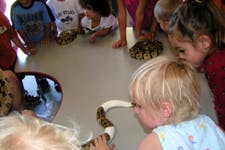 Children gathered around a table looking at snakes