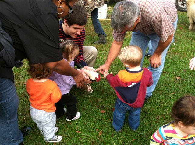 Adults and children interacting with a chicken