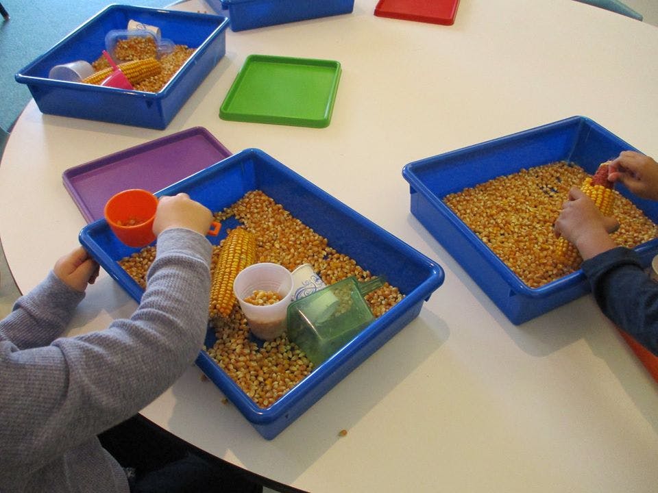 Children playing with corn kernels and cups in blue bins