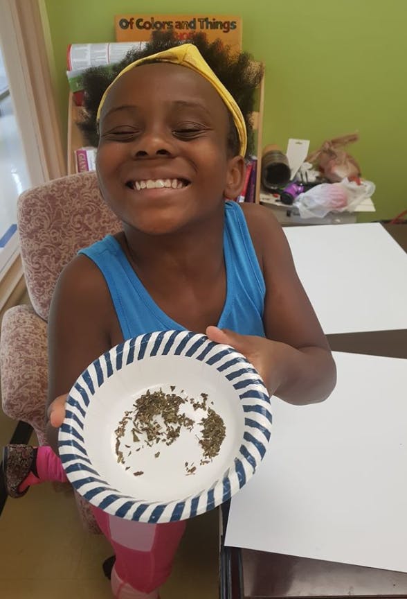 Child holding a paper plate with dried herbs