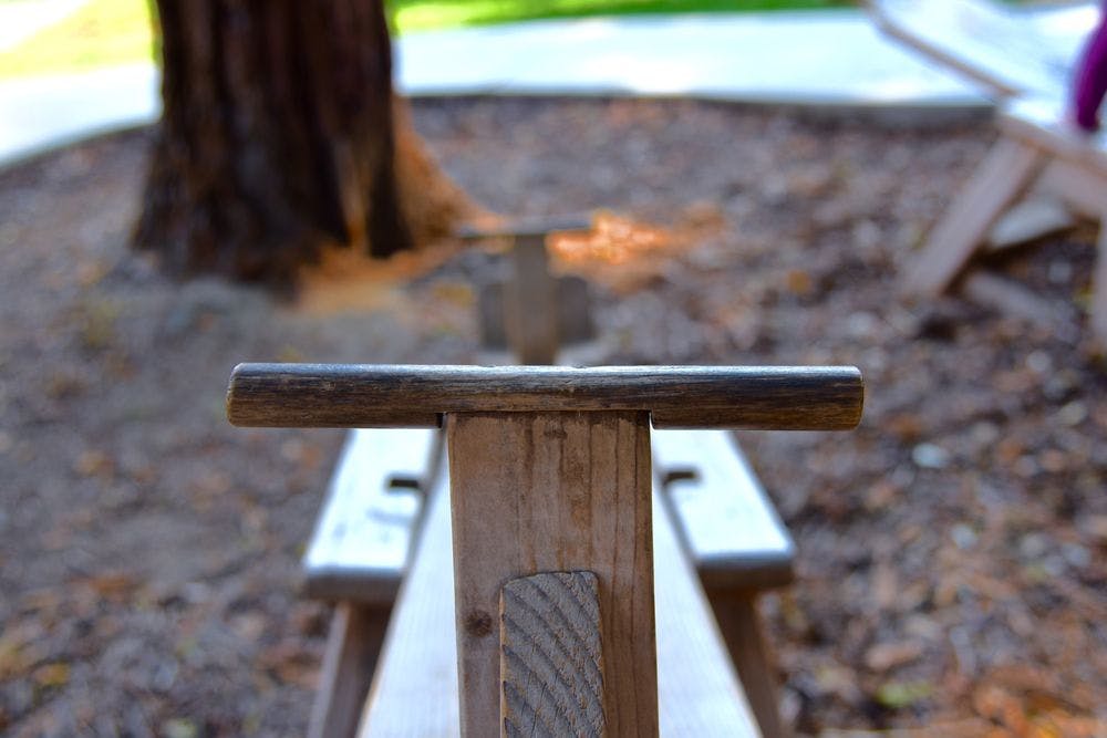 Top of a wooden bench with a tree trunk in the background