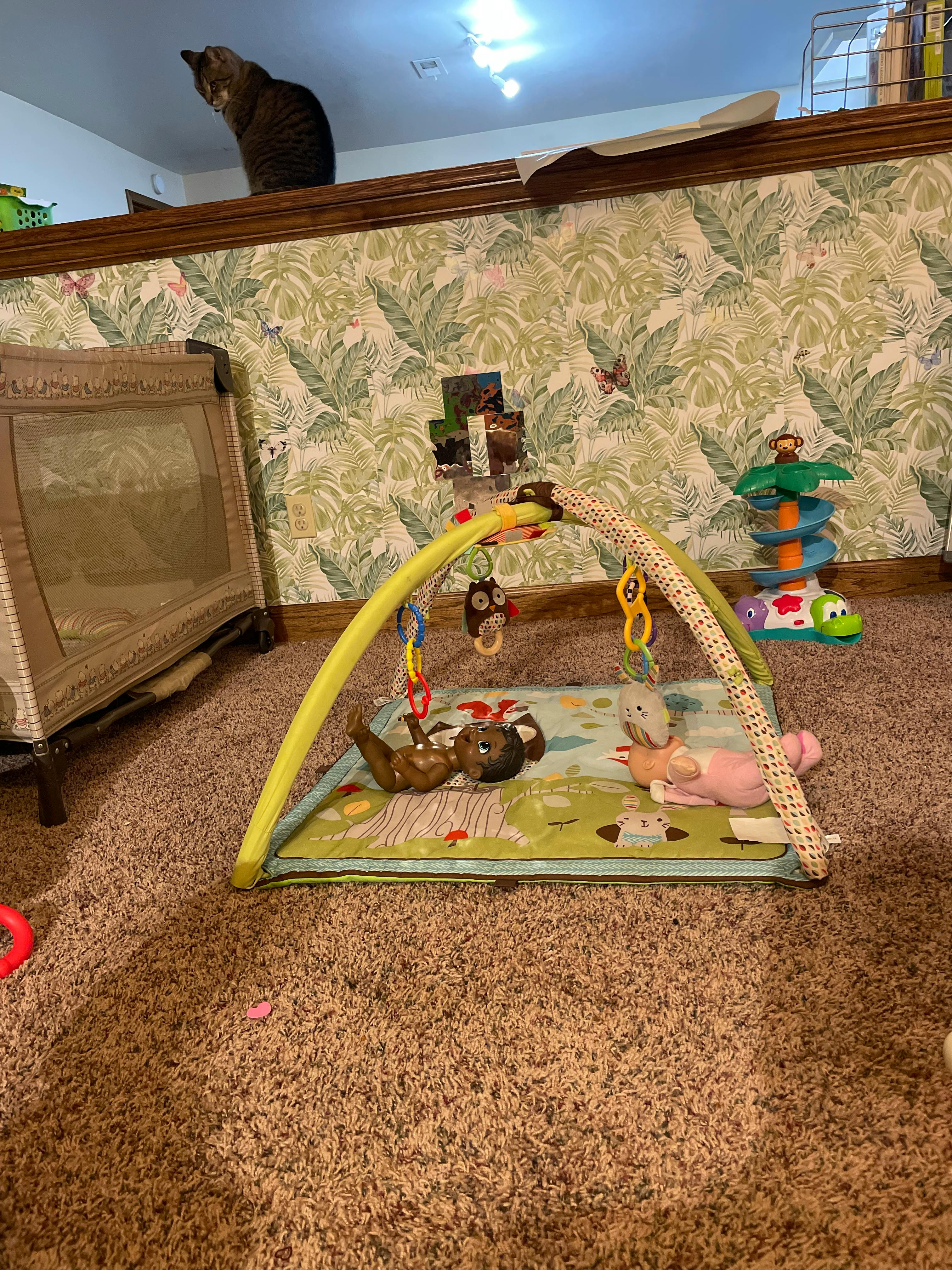 Cat on a ledge above a baby play mat with toys