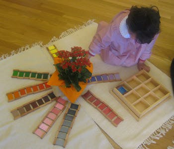 Child playing with colorful wooden blocks and a plant on a rug