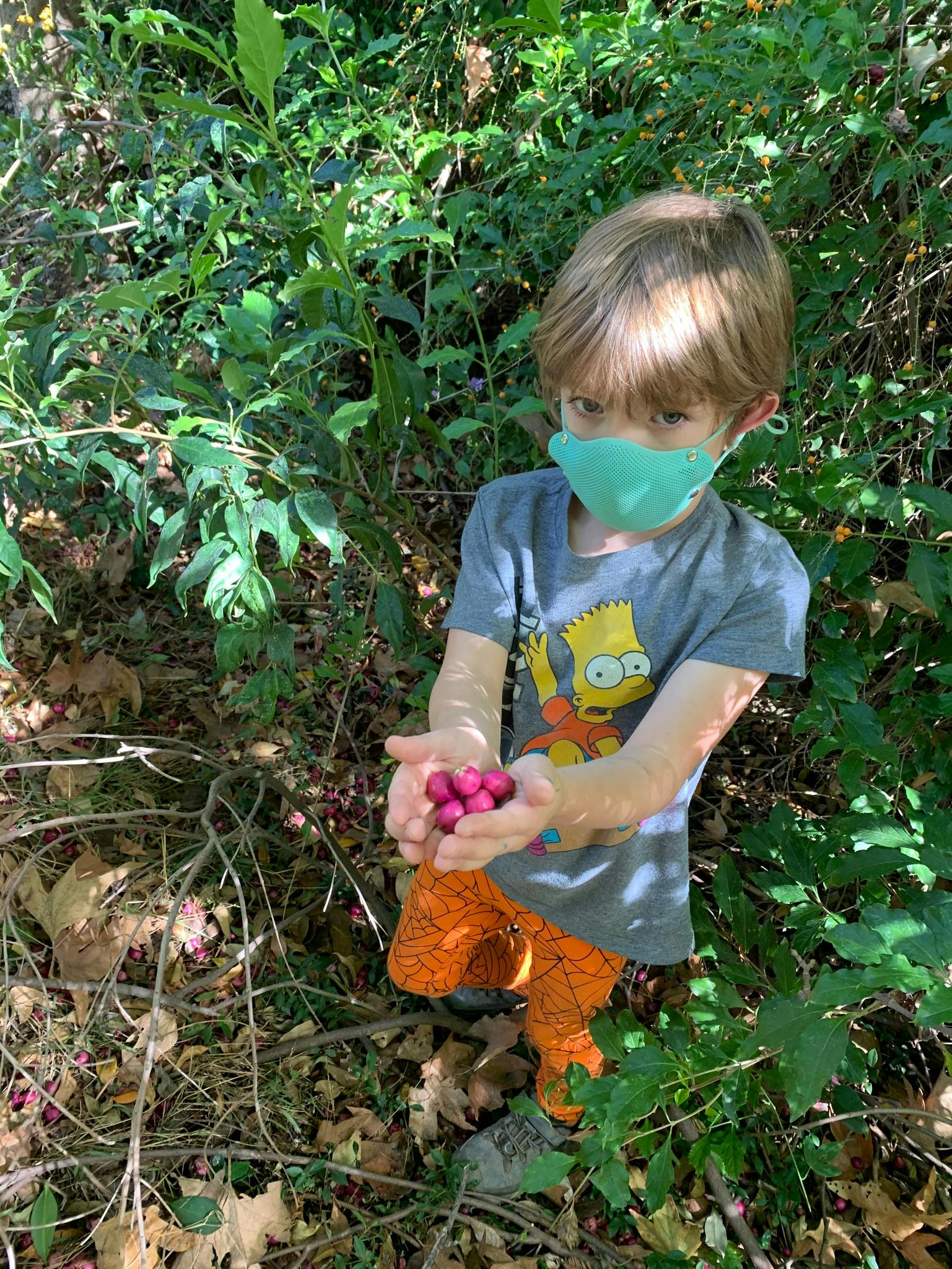 Child in a mask holding berries in their hands