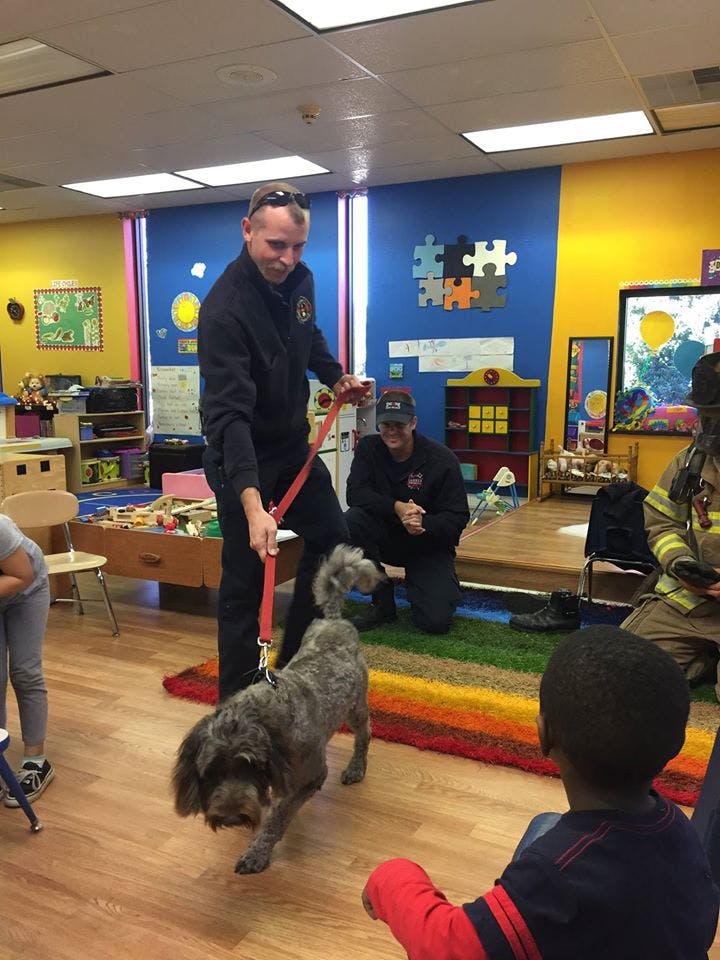Person holding a dog on a leash in a classroom with children