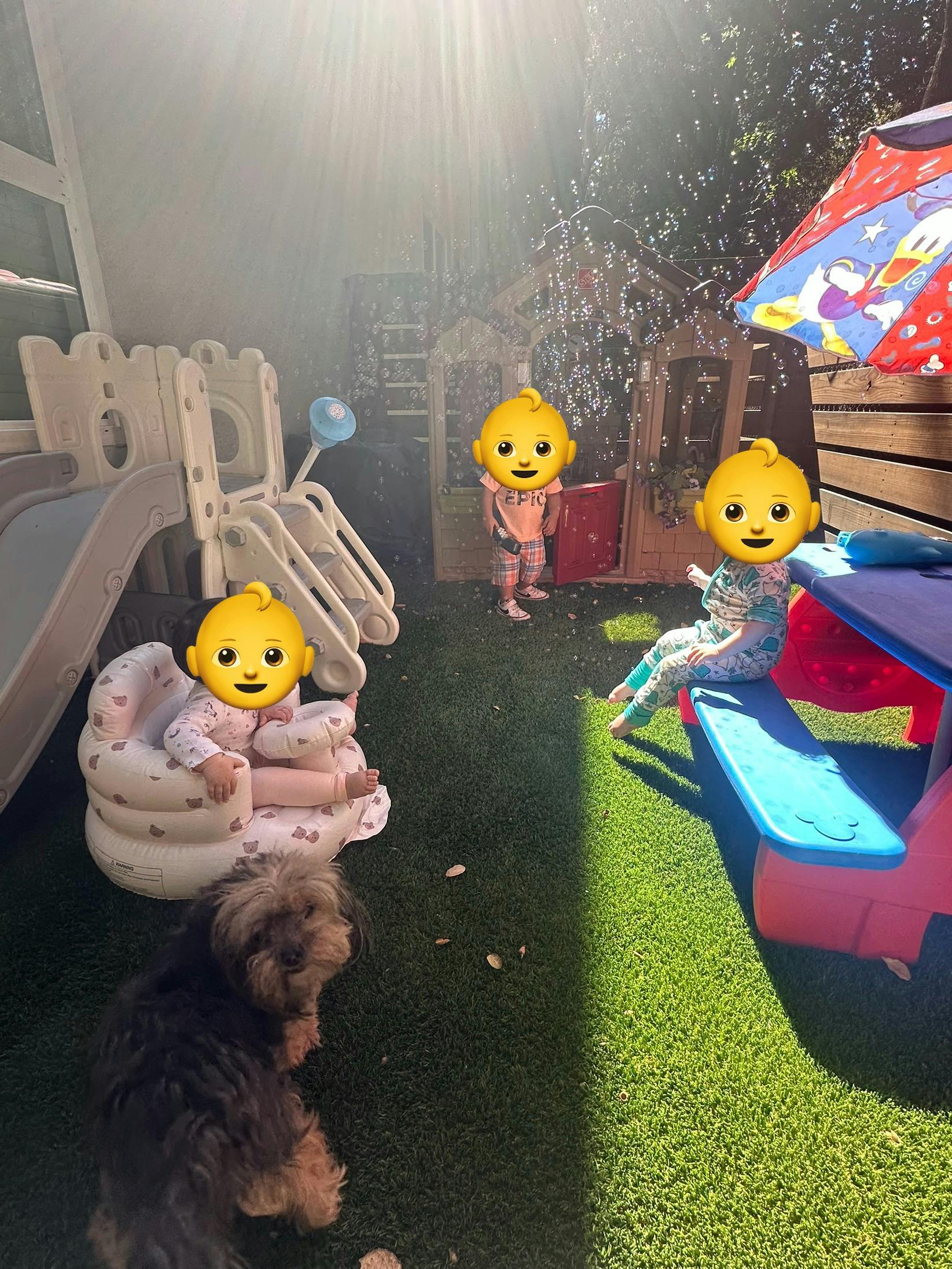 Three children playing outdoors with a small dog and bubbles