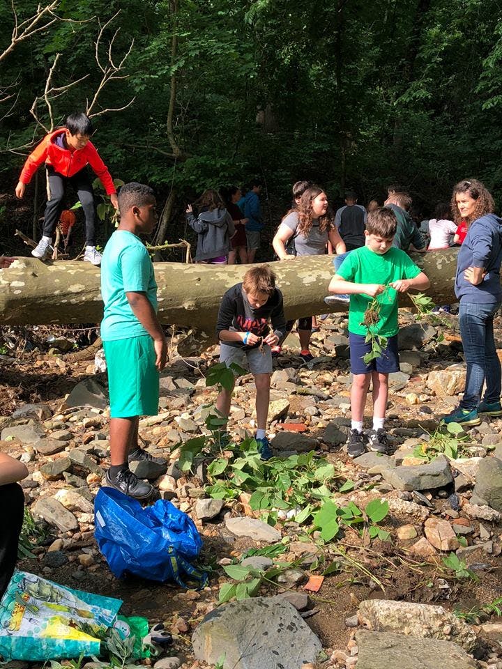 Group of children and adults outdoors, some examining plants