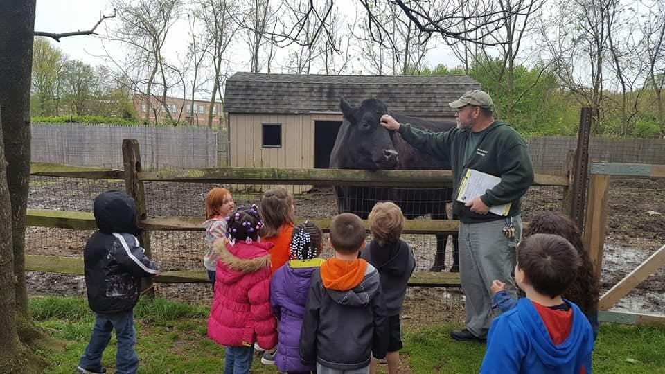 Adult person showing a horse to a group of children