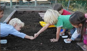 Children planting in a garden bed
