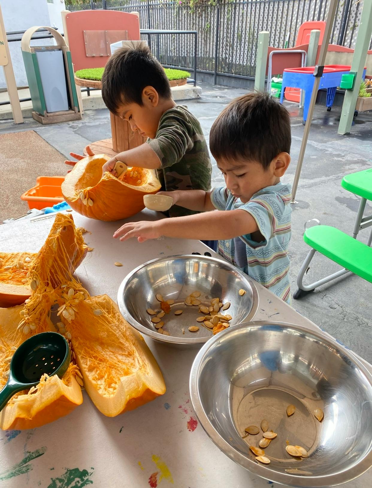 Two children scooping seeds from a pumpkin